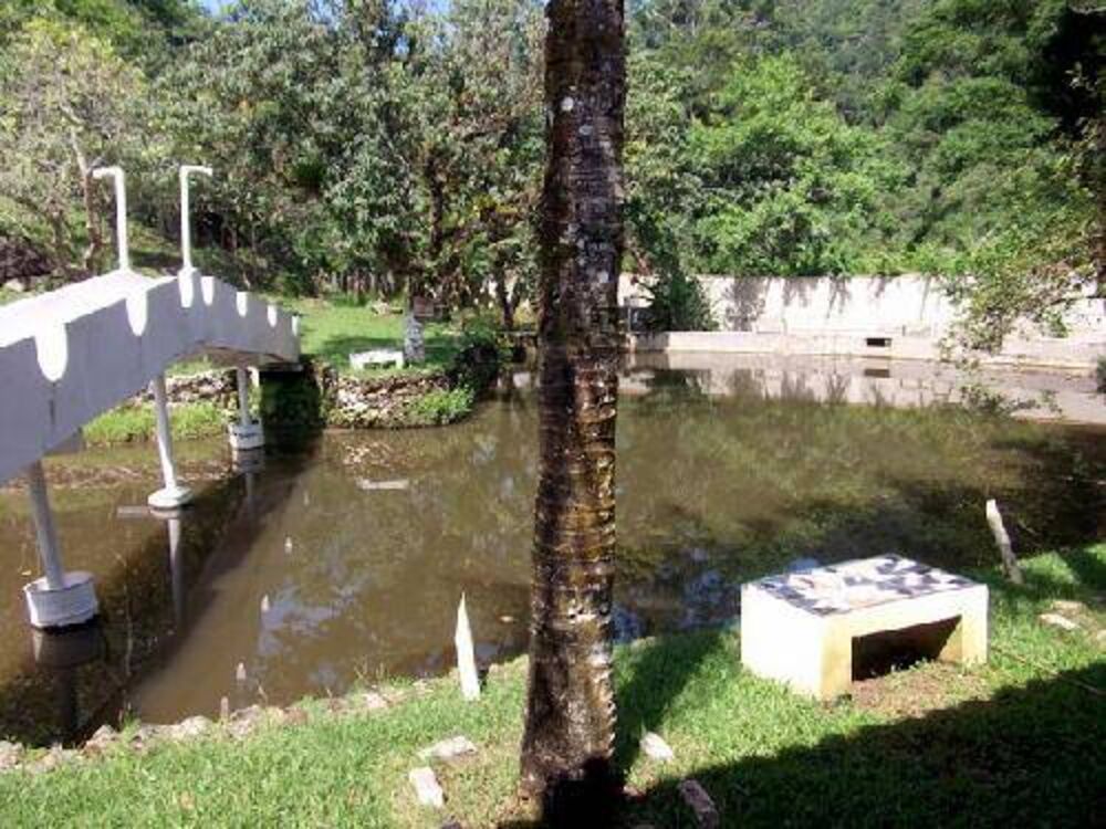 Fazenda, 5 hectares - Foto 5