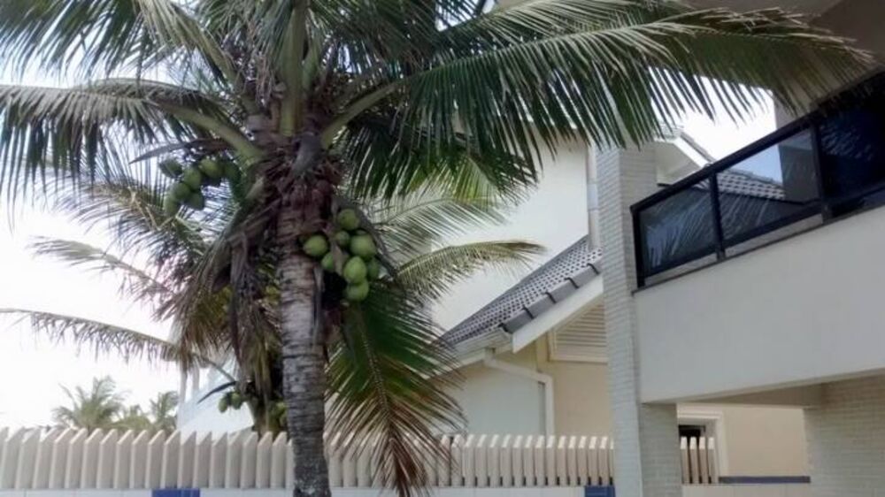 Casa, 5 quartos, 500 m² - Foto 3
