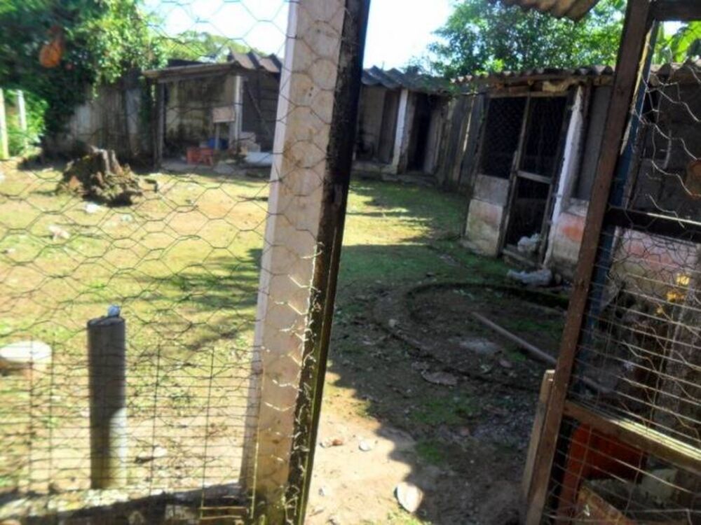Casa, 10 quartos, 9250 m² - Foto 11