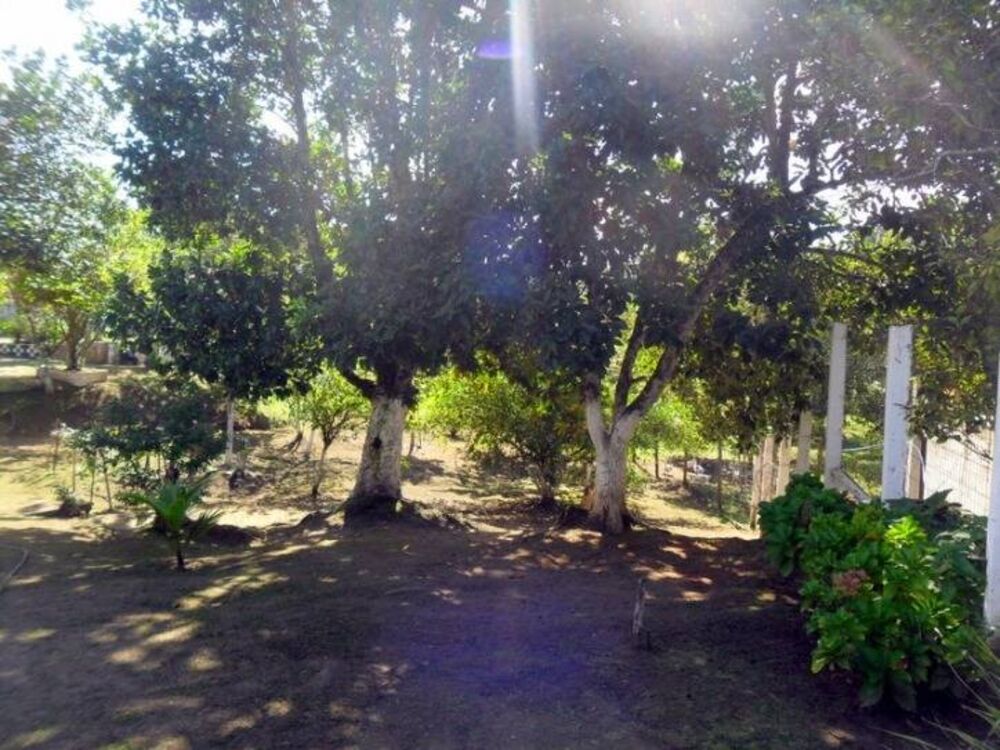 Casa, 10 quartos, 9250 m² - Foto 19