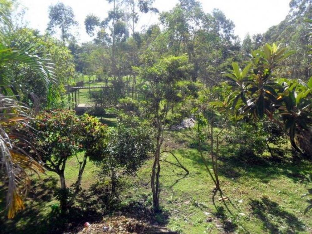Casa, 10 quartos, 9250 m² - Foto 5