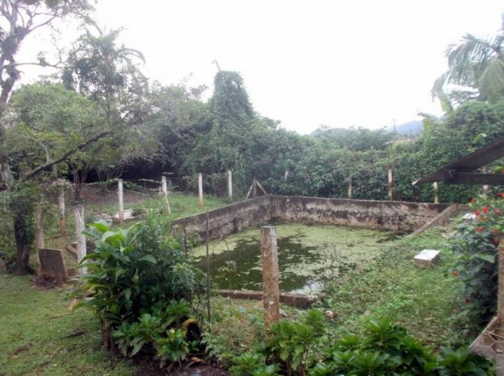Casa, 10 quartos, 9250 m² - Foto 13