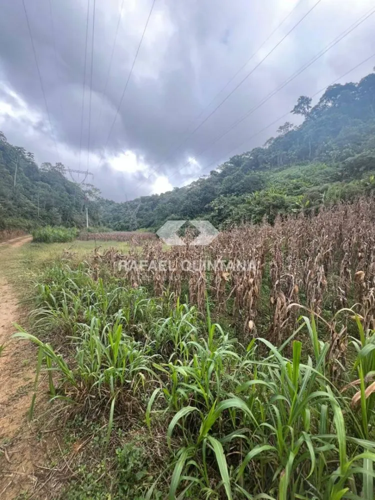 Terreno, 10000 m² - Foto 4
