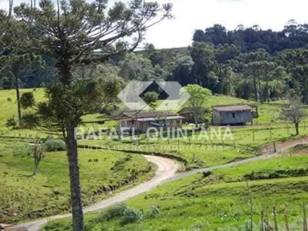 Sítio, 3 quartos, 8 hectares - Foto 3