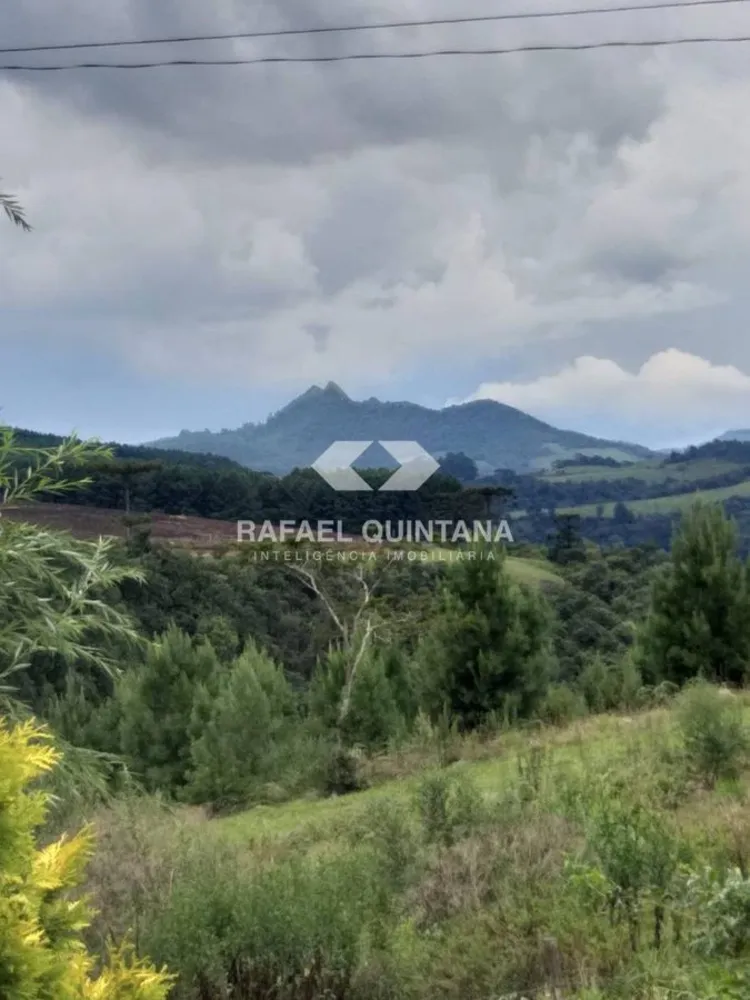 Sítio, 3 quartos, 8 hectares - Foto 8