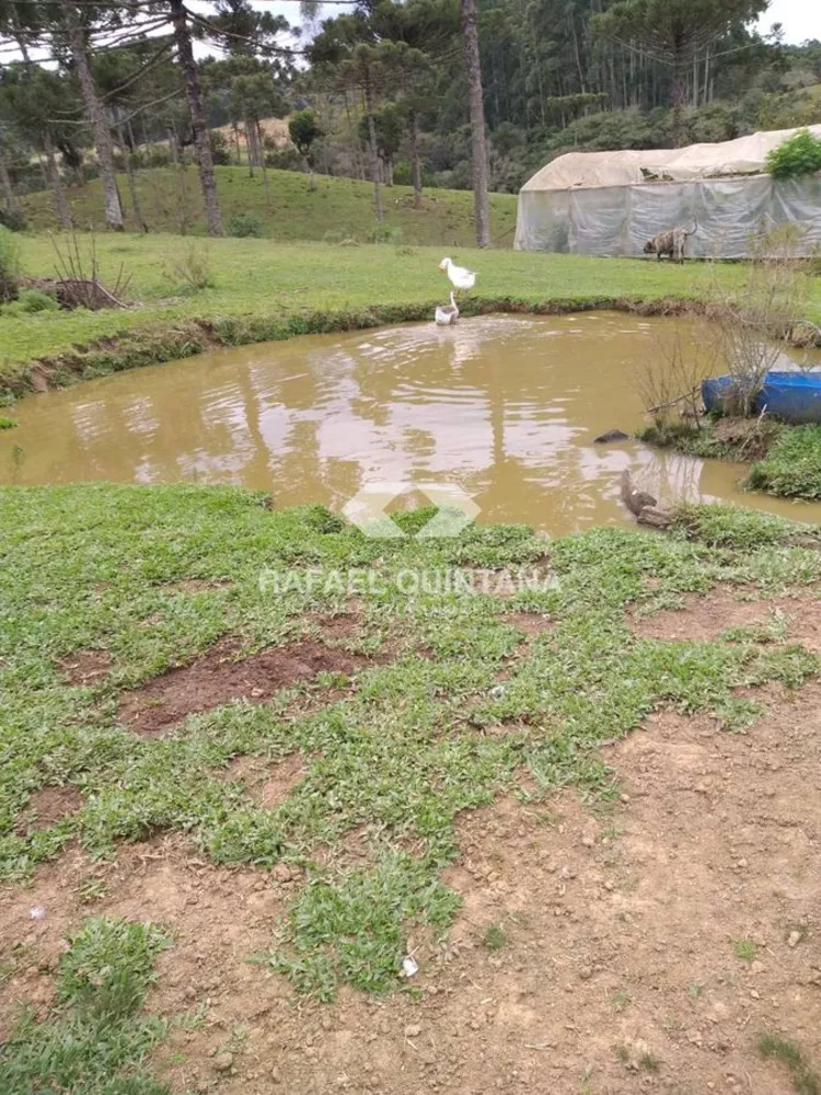 Sítio, 3 quartos, 8 hectares - Foto 14