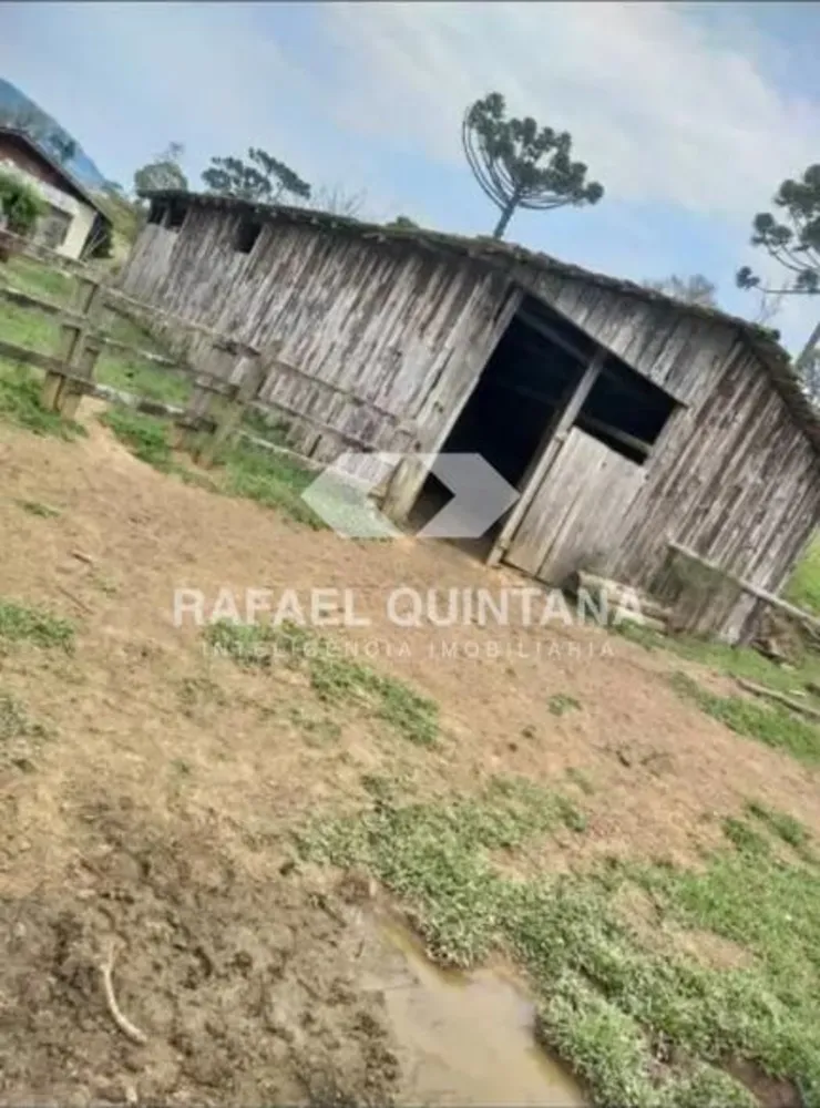 Sítio, 3 quartos, 8 hectares - Foto 9