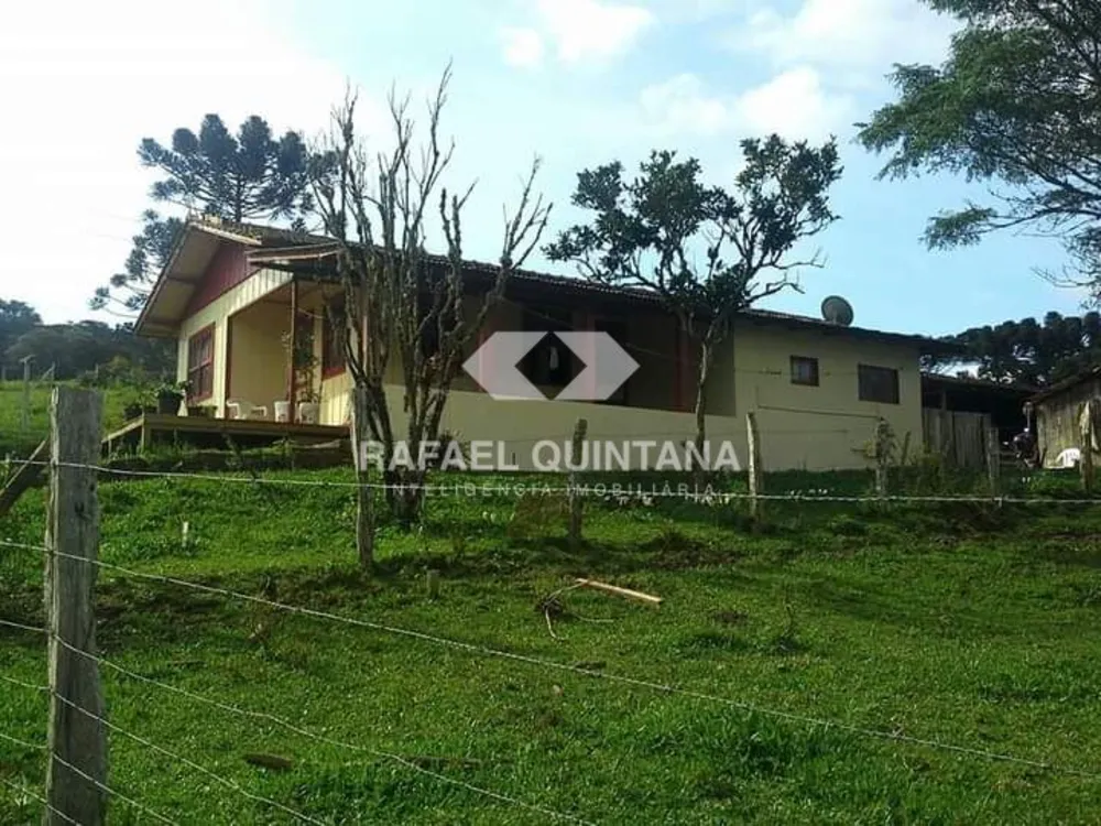 Sítio, 3 quartos, 8 hectares - Foto 4