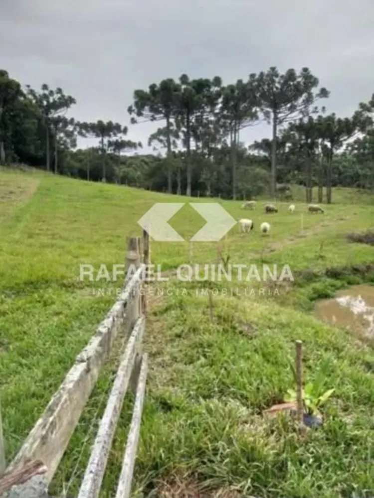 Sítio, 3 quartos, 8 hectares - Foto 11