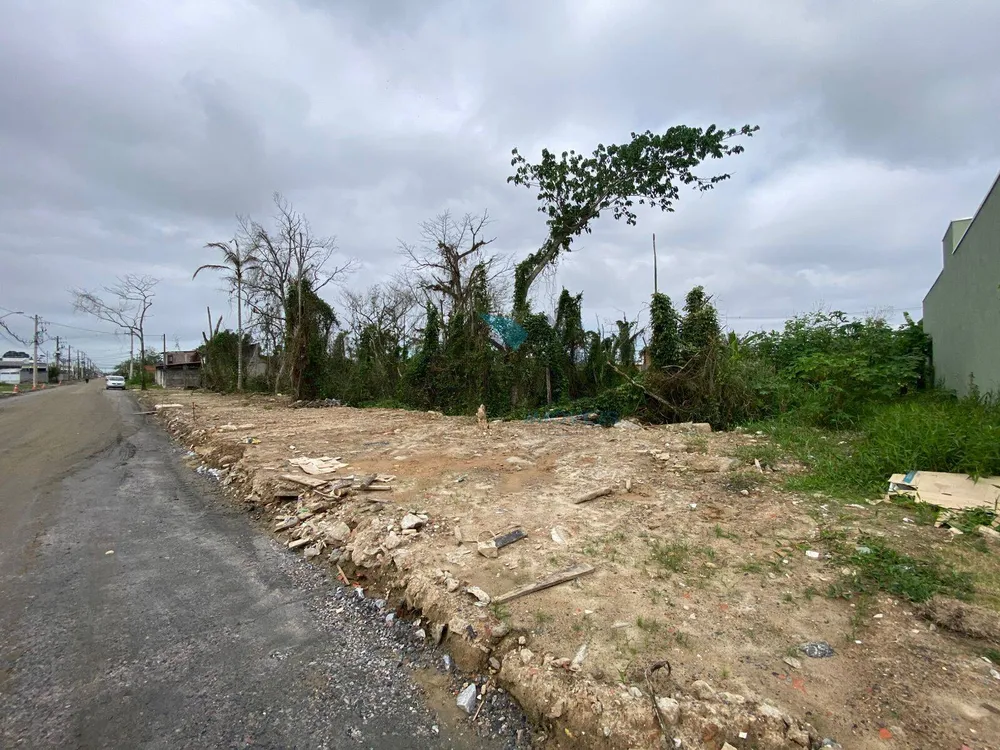 Terreno, 250 m² - Foto 1