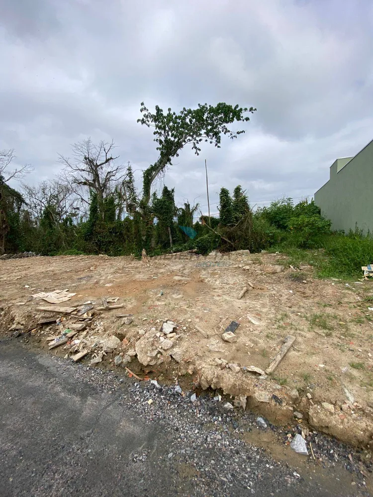Terreno, 250 m² - Foto 2