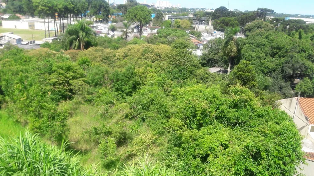 Terreno, 5200 m² - Foto 3