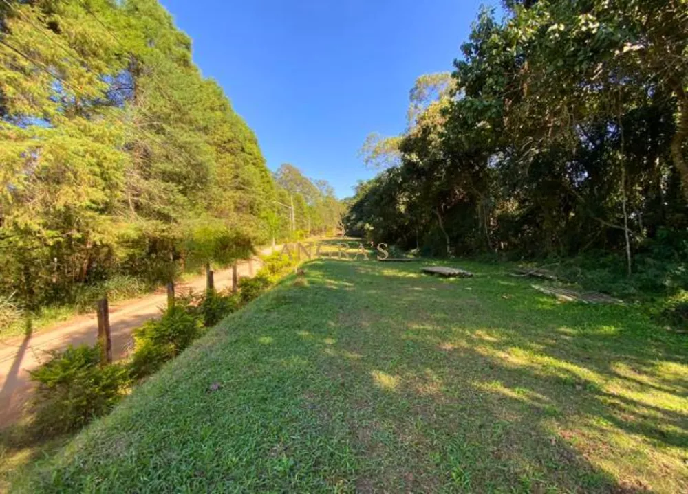 Terreno, 300 m² - Foto 4