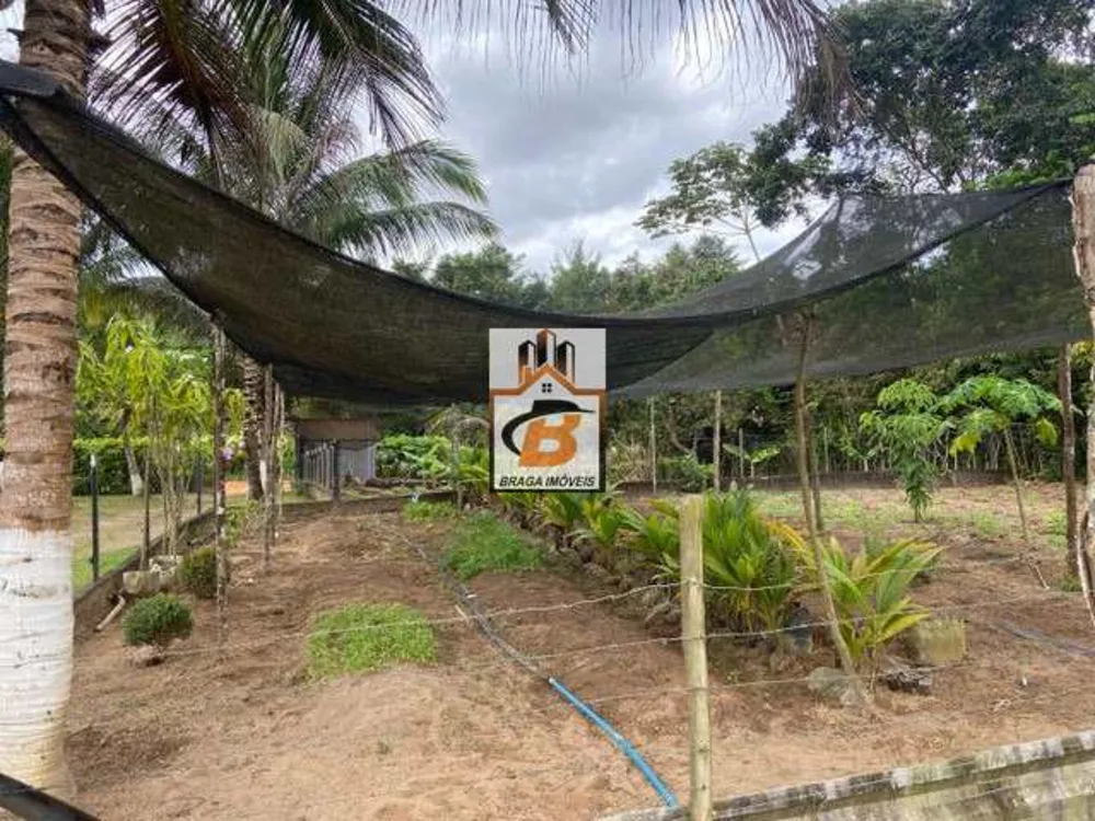 Sítio, 4 quartos, 5000 m² - Foto 10