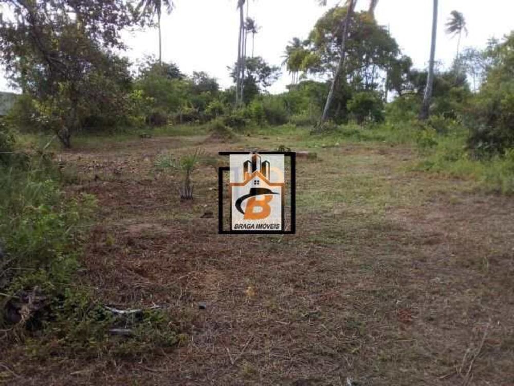 Terreno, 4 hectares - Foto 4