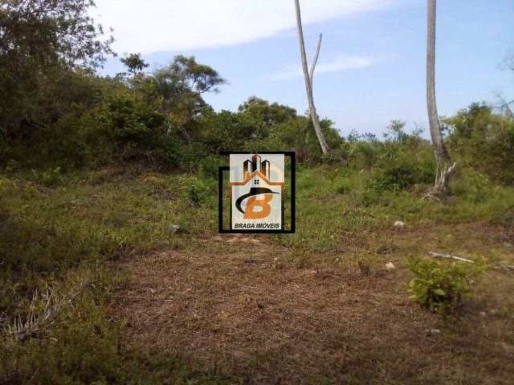 Terreno, 4 hectares - Foto 5