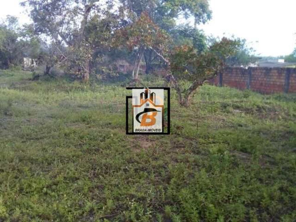 Terreno, 4 hectares - Foto 3
