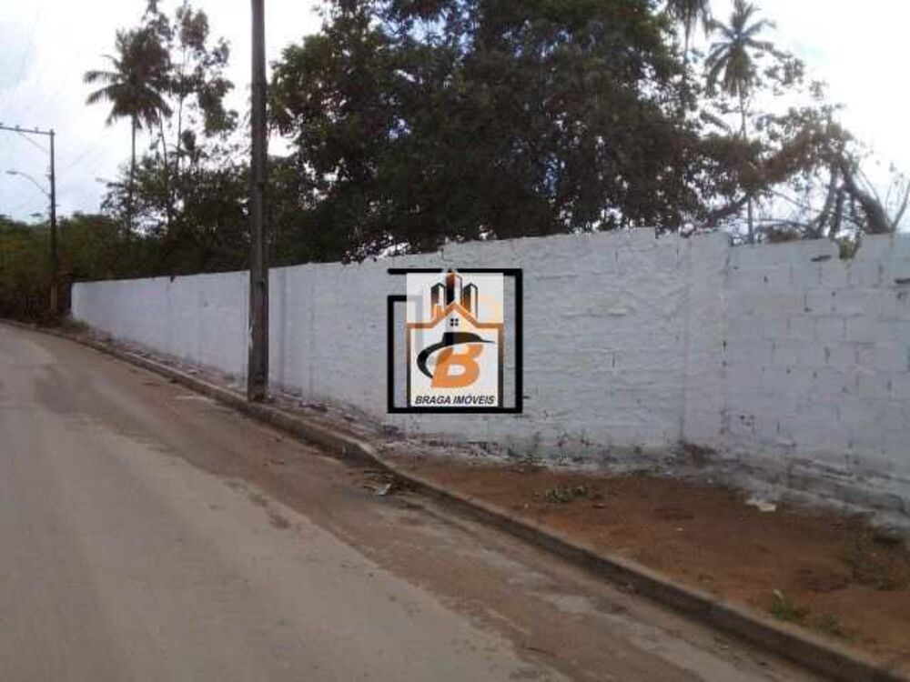 Terreno, 4 hectares - Foto 1