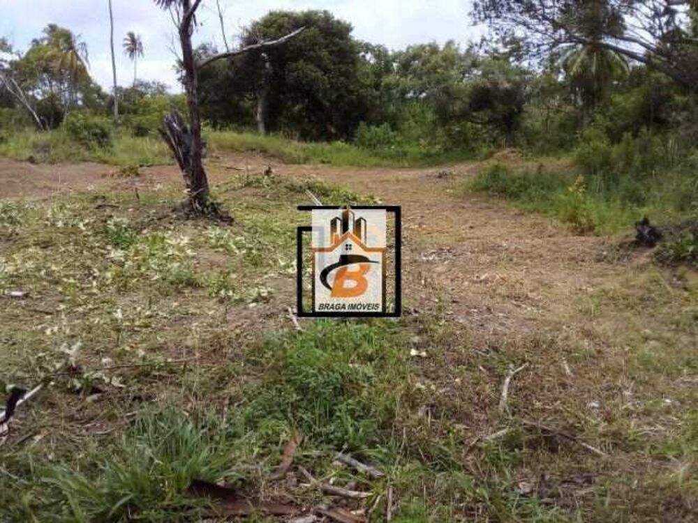 Terreno, 4 hectares - Foto 2