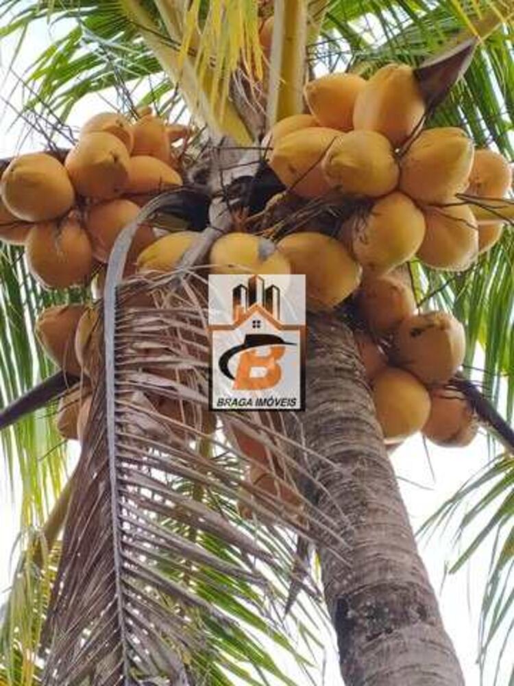 Sítio, 1 quarto, 1 hectares - Foto 10