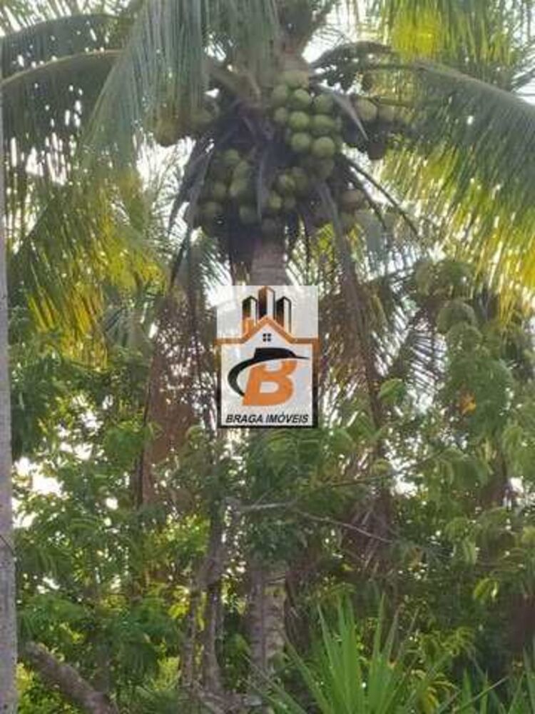 Sítio, 1 quarto, 1 hectares - Foto 4