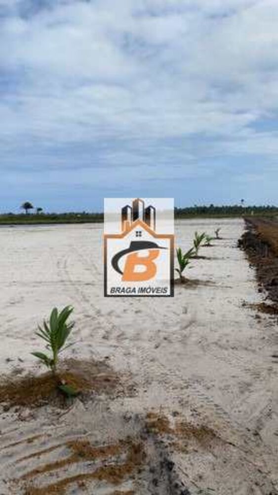 Terreno, 1000 m² - Foto 1