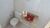 Apartamento, 3 quartos, 80 m² - Foto 9