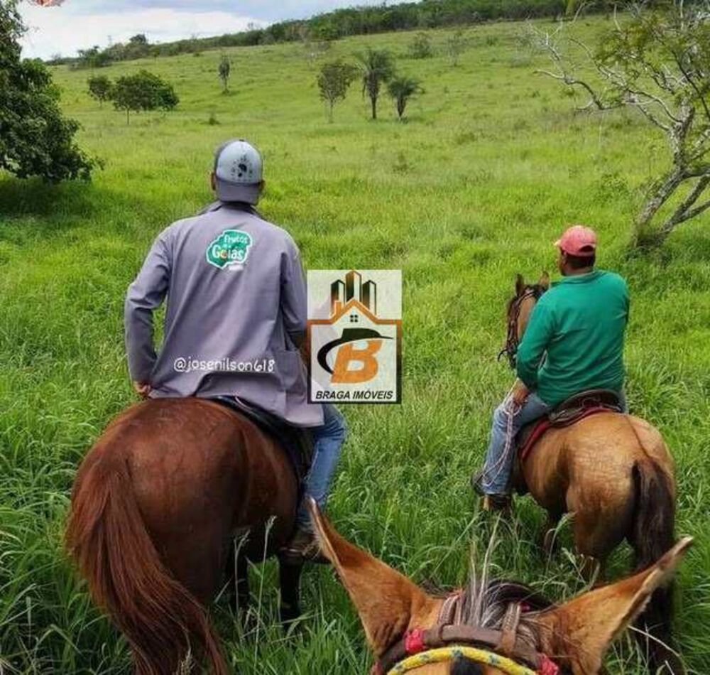 Fazenda, 197 m² - Foto 4