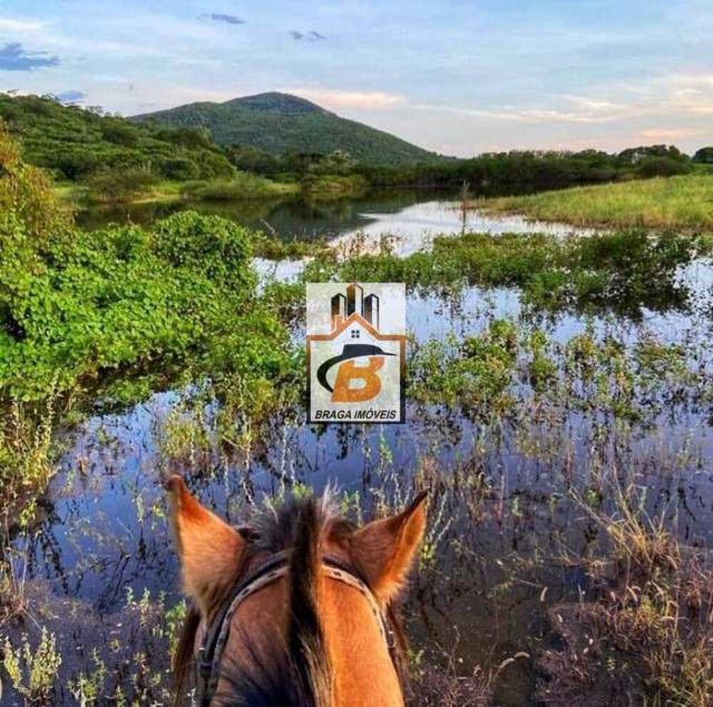 Fazenda, 197 m² - Foto 3