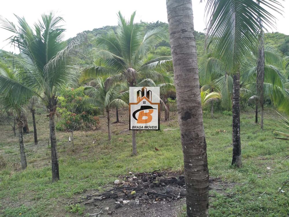 Sítio, 3 quartos, 6 hectares - Foto 4