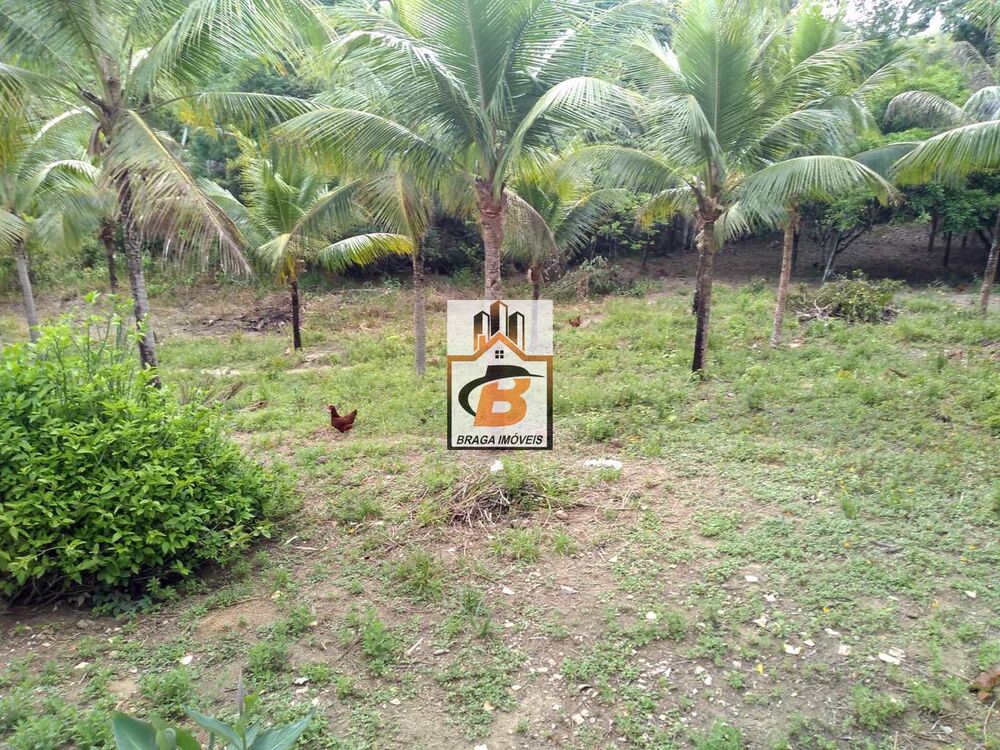 Sítio, 3 quartos, 6 hectares - Foto 3