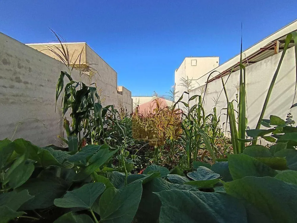 Terreno, 209 m² - Foto 3