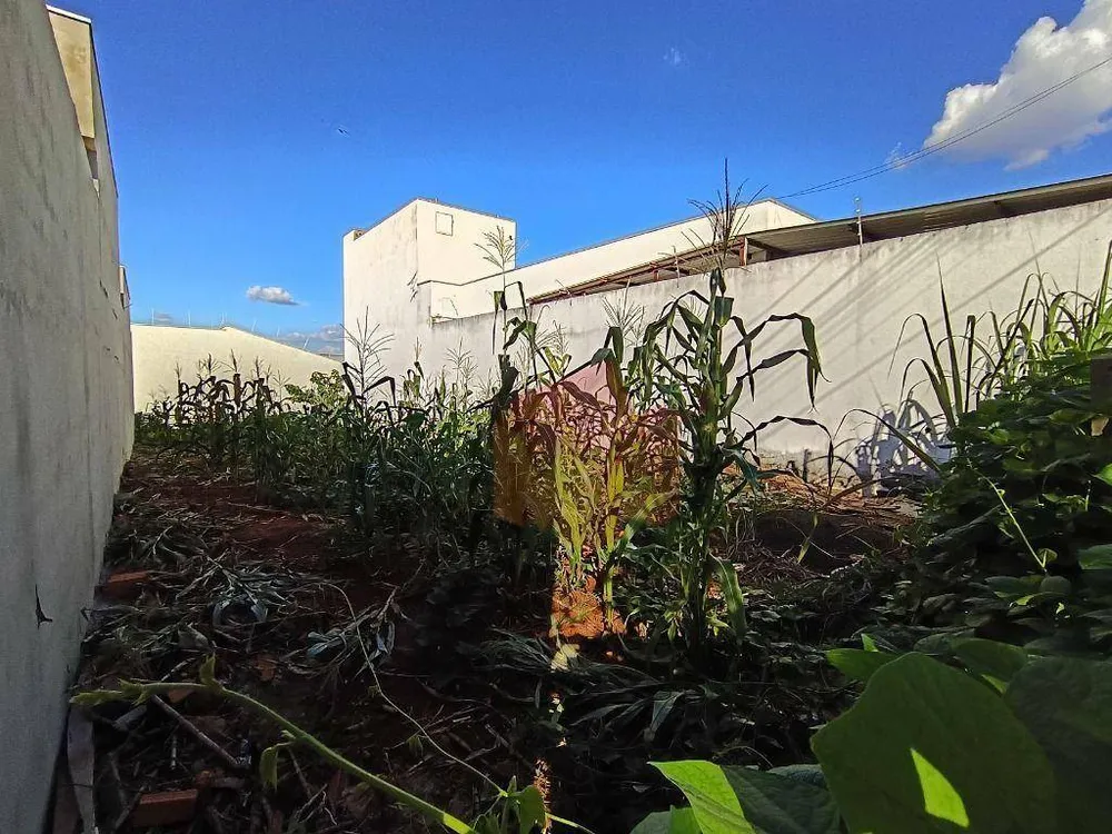 Terreno, 209 m² - Foto 4
