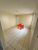 Apartamento, 2 quartos, 49 m² - Foto 2