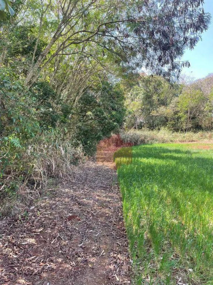 Terreno, 15 hectares - Foto 3