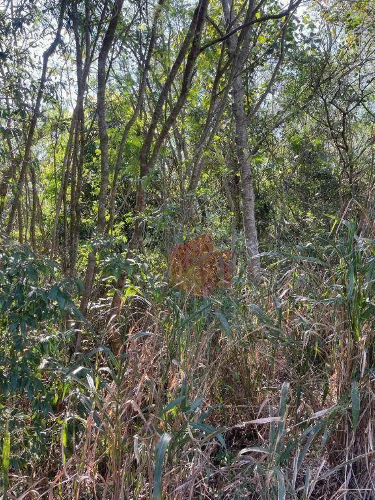 Terreno, 15 hectares - Foto 2
