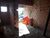 Casa, 2 quartos, 112 m² - Foto 7
