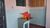 Casa, 3 quartos, 114 m² - Foto 17