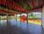 Chácara, 4 quartos, 6000 m² - Foto 15