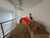 Casa, 4 quartos, 390 m² - Foto 7