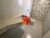 Apartamento, 2 quartos, 62 m² - Foto 2