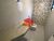 Apartamento, 2 quartos, 62 m² - Foto 1