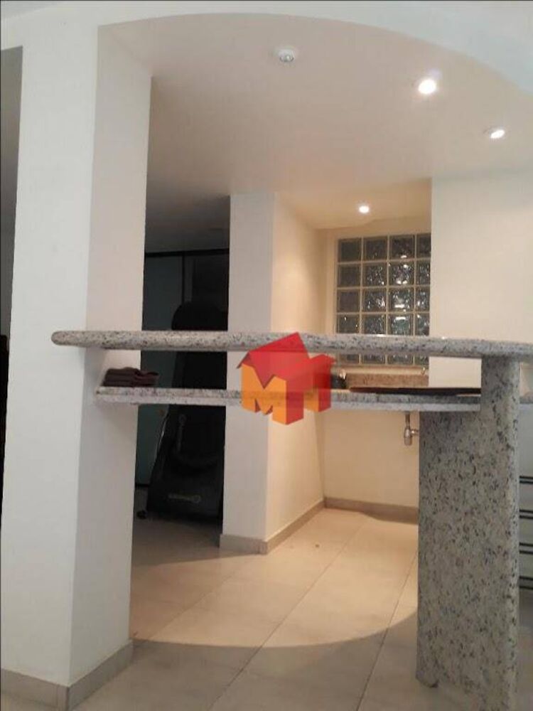 Casa, 3 quartos, 301 m² - Foto 10