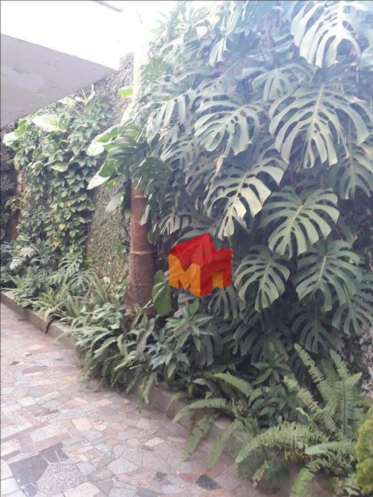 Casa, 3 quartos, 301 m² - Foto 4