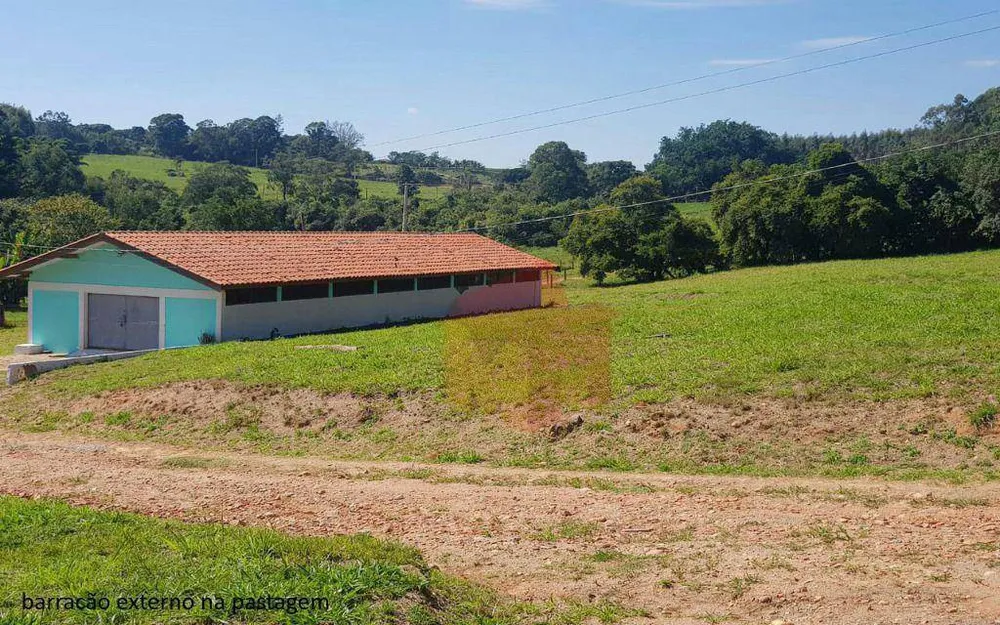 Sítio, 7 quartos, 2 hectares - Foto 6
