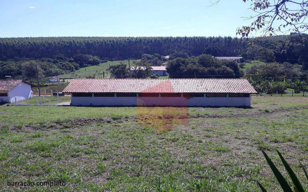 Sítio, 7 quartos, 2 hectares - Foto 3