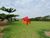 Chácara, 4 quartos, 1 hectares - Foto 18