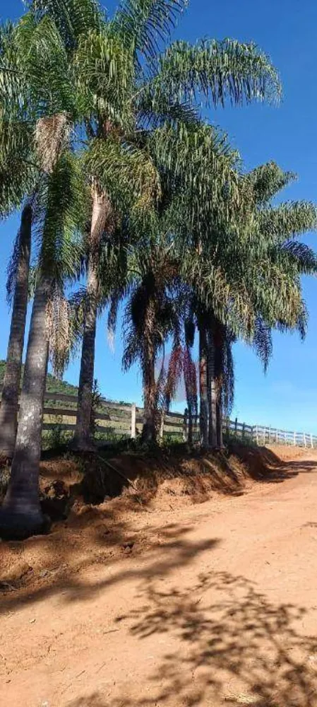 Sítio, 10 hectares - Foto 10