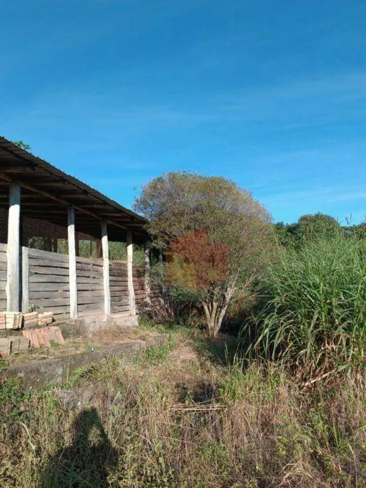 Sítio, 10 hectares - Foto 11