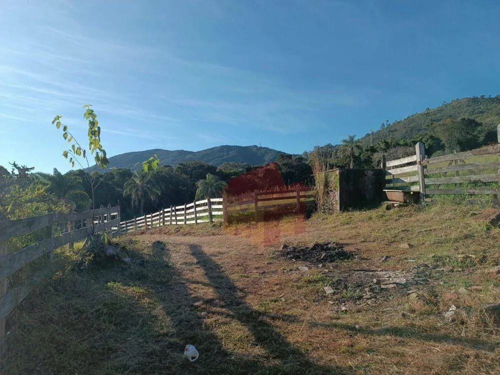 Sítio, 10 hectares - Foto 4